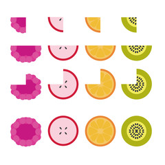 Vector fruits