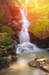 Fototapeta premium Piękny wodospad Deep Forest w Nakornnayok, Tajlandia