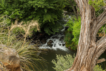 Sedona's Oak Creek on a Cloudy and Rainy Day