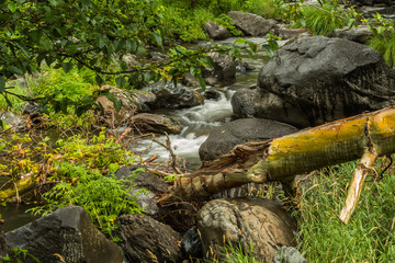 Sedona's Oak Creek on a Cloudy and Rainy Day