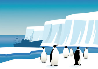Obraz premium Penguins in Antarctica