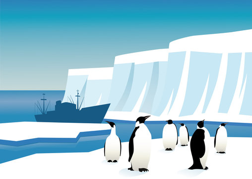 Penguins In Antarctica