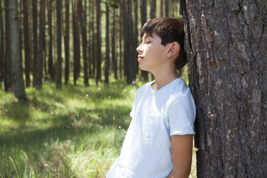 Niño apoyado en un árbol del bosque