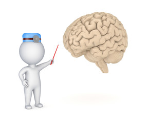 Human brain.