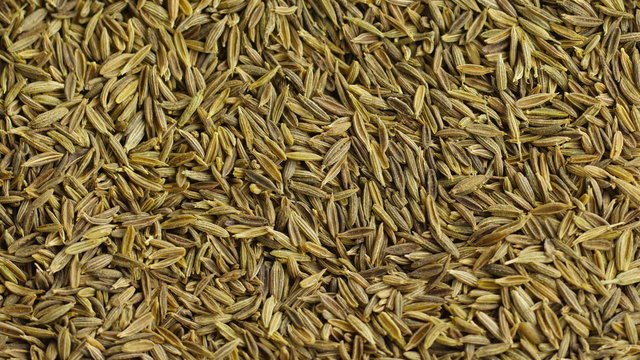 Cumin seeds. Close up shot caraway seeds. 4K footage
