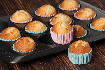 Plain Cupcakes In Baking Tray