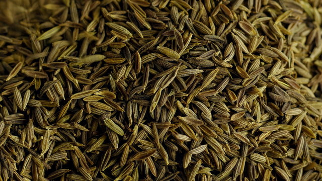 Cumin seeds. Close up shot caraway seeds. 4K footage
