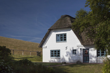 Reetdachhaus am Deich