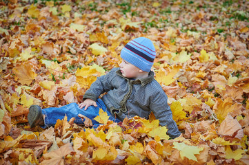 little boy lying on the yellow leaves in the autumn park