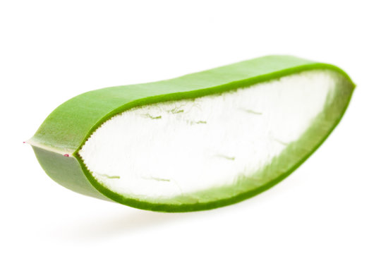 Aloe Vera (in Cross Section, isolated on White Background)