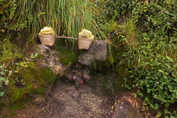 sulfur basket collected from Kawah Ijen volcano