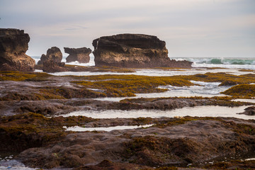 plain sight coast rock orange algae sea waves