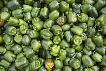 Obraz na płótnie Canvas Fresh Ripe Organic Green Peppers