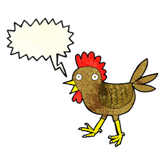 funny cartoon chicken with speech bubble