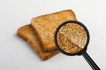 View through a magnifying glass to toast bread. 