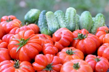 Organic tomatoes and cucumbers