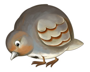 Cartoon funny bird - illustration for the children