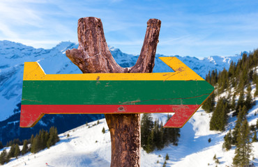 Lithuania Flag wooden sign with winter background