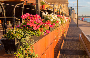 Hafenpromenade des Rheinauhafens in Köln mit Blumenkästenin der Morgensonne
