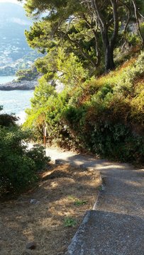 Promenade Le Corbusier au Cap Martin