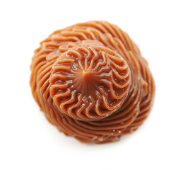 Delicious chocolate cream isolated on white