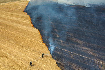 Fireman truck working on the field on fire