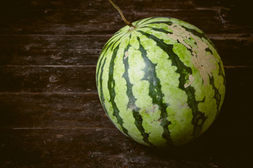 Watermelon