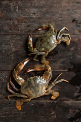 Crab