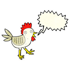 funny cartoon chicken with speech bubble