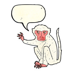 cartoon evil monkey with speech bubble