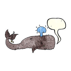 cartoon whale with speech bubble