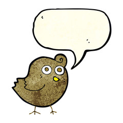 funny cartoon bird with speech bubble