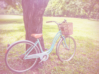 Fototapeta premium bicycle in the park