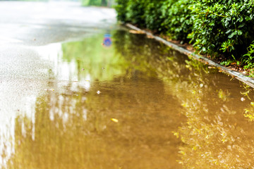 Pfütze nach Gewitter