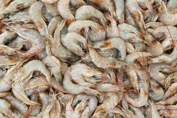 Fresh shrimp at the market for sell