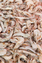 Fresh shrimp at the market for sell