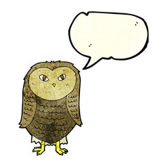 cartoon owl with speech bubble