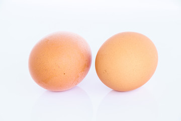 egg on white background