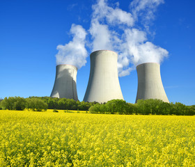 Nuclear power plant with rapeseed field