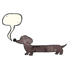 cartoon dachshund with speech bubble