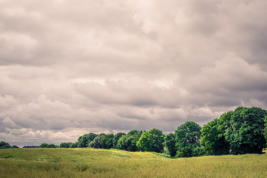 Field landscape with cloudy weater