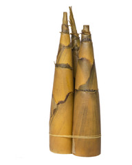 Bamboo shoots