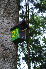Nistkasten Nr. 29