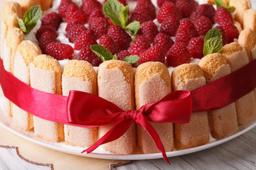 Beautiful raspberry charlotte cake on a plate close-up. horizontal