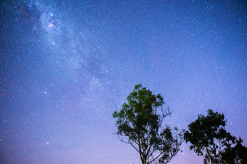 Stars in the rural area of Brisbane, Queensland, Australia. © Rob D Wildlife