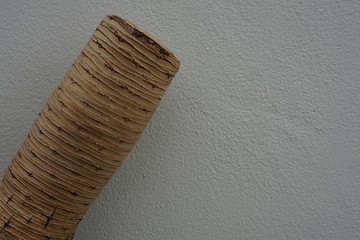 trunk
