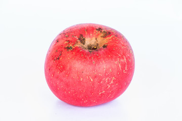 Apple on white background
