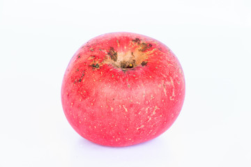 Apple on white background