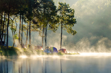 Morning in forest with camping in the mist