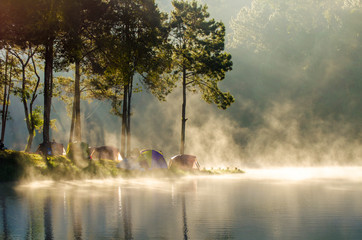 Morning in forest with camping in the mist